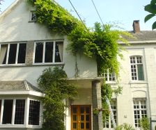 taille-plantes-grimpantes-façade-jardinier-beaumont-erquelinnes-thuin